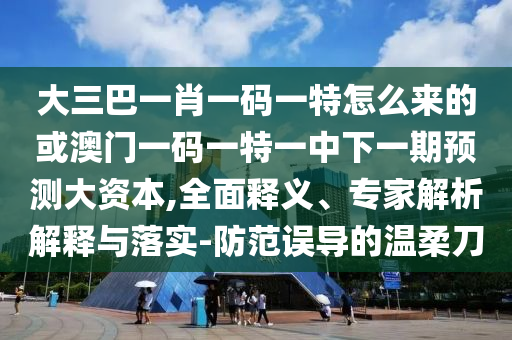 大三巴一肖一碼一特怎么來的或澳門一碼一特一中下一期預(yù)測大資本,全面釋義、專家解析解釋與落實-防范誤導(dǎo)的溫柔刀