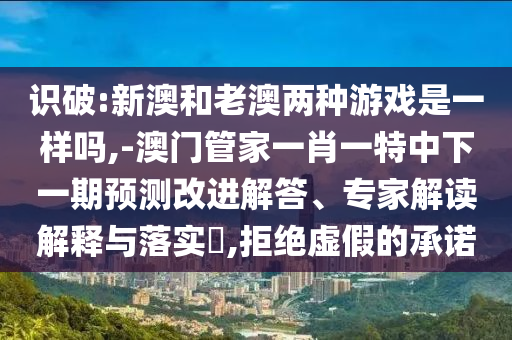 識破:新澳和老澳兩種游戲是一樣嗎,-澳門管家一肖一特中下一期預測改進解答、專家解讀解釋與落實?,拒絕虛假的承諾